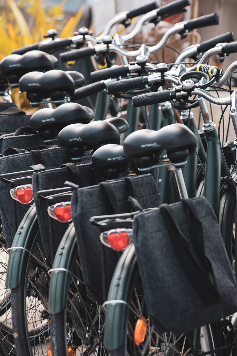 Oxy'Jeune Cap Ferret - location et livraison de vélos veloce-visite-guidee-et-degustation